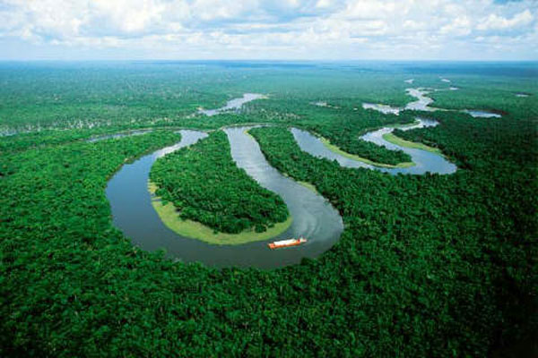 Amazing AMAZON Basin